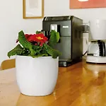 Kupfer Apartment